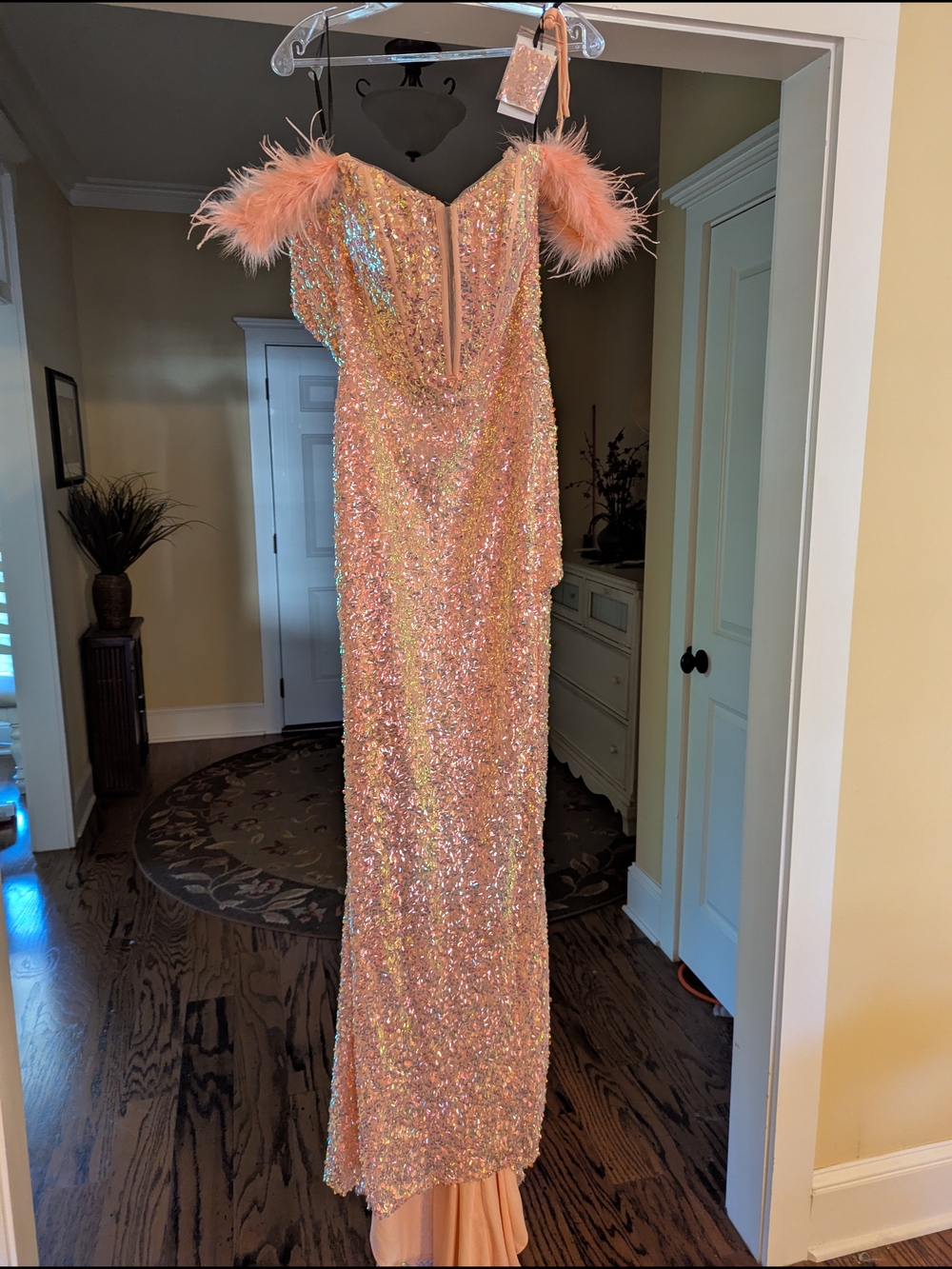 Alyce Paris Coral Sequin Feather-Trim Evening Gown